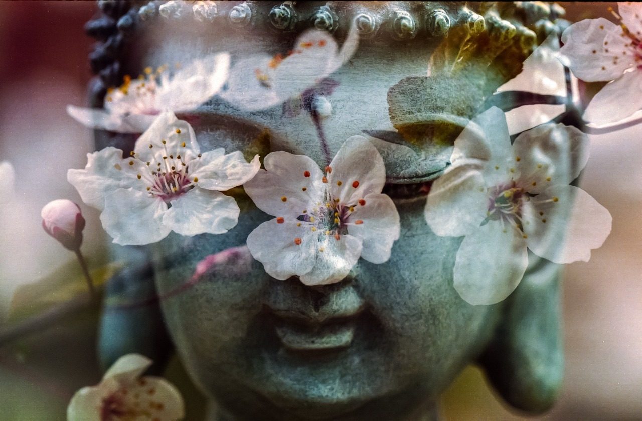 buddha, flower, buddhism-1279902.jpg