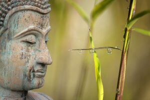 wellness, reed, relaxation-3318709.jpg
